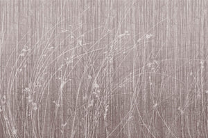 SIDERITIS