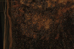 Sample SPEZIE