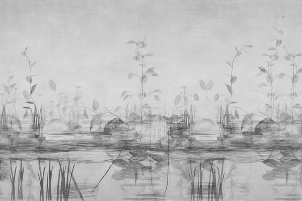 STILLNESS