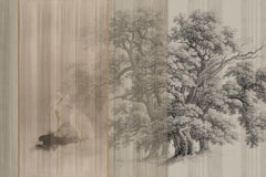 SYCAMORE
