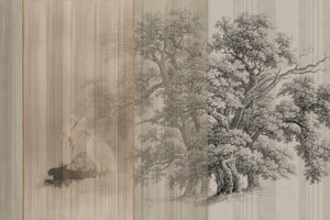 SYCAMORE