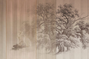 SYCAMORE
