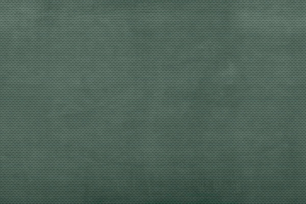 VERDANT VEIL