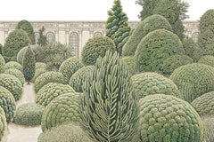 VILLA REALE