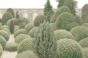 VILLA REALE