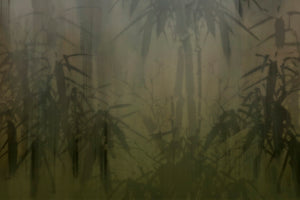 VIRIDIA