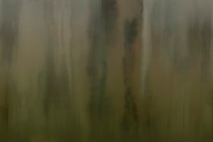 VIRIDIA